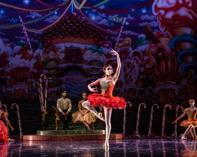 Suttyn Simon as American Beauty Rose