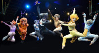CATS - Marriott Theatre in Lincolnshire Breathes New Life into a Classic!