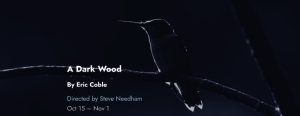 Tin Drum Theatre Company announces Chicago premiere of A Dark Wood by Eric Coble, Oct. 15–Nov. 1 at Greenhouse Theater Center